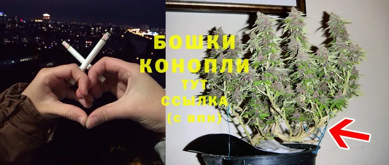 Бошки Шишки SATIVA & INDICA  Петровск-Забайкальский 